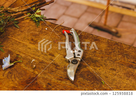 Gardening scissors lying on wooden table with cut branches Gardening scissors lying on wooden table with cut branches 125938818