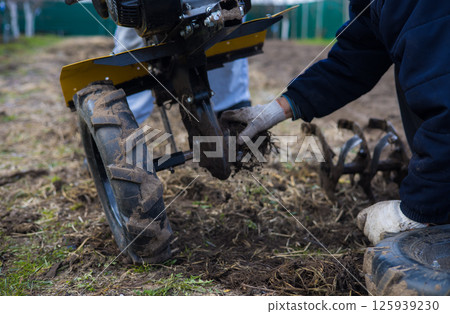 A farmer cleans a two-wheel tractor with a cultivator while plowing the soil in a garden, removing weeds and roots from the tines. Plowing a vegetable garden with a walk-behind tractor. 125939230