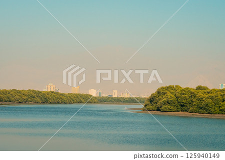 Ras al Khaimah city view, Palm-lined walkway 125940149