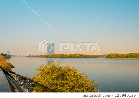 Ras al Khaimah city view, Palm-lined walkway Ras al Khaimah city view, Palm-lined walkway 125940159