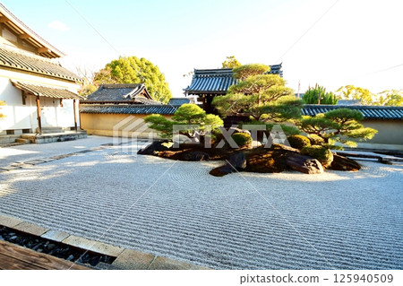 京都府,東寺甘地院,涅槃花園「長者之庭」枯山水花園,京都市南區九條町,2022 年 2 月 京都府,東寺甘地院,涅槃花園「長者之庭」枯山水花園,京都市南區九條町,2022 年 2 月 125940509