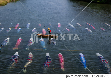 鯉魚飄帶游泳在水中 125940693