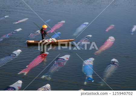 Carp streamer swimming in the water Carp streamer swimming in the water 125940702