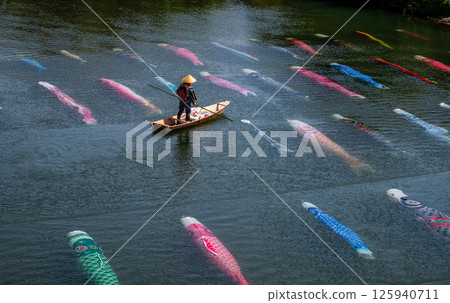 Carp streamer swimming in the water Carp streamer swimming in the water 125940711