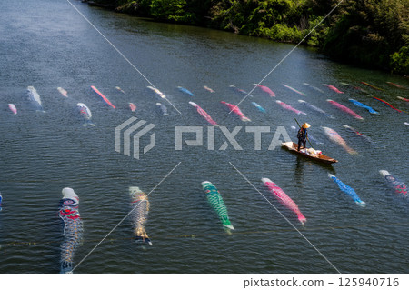 Carp streamer swimming in the water Carp streamer swimming in the water 125940716