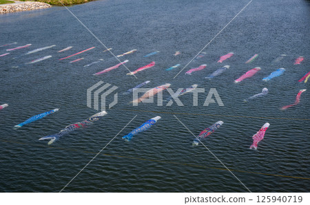 鯉魚飄帶游泳在水中 鯉魚飄帶游泳在水中 125940719