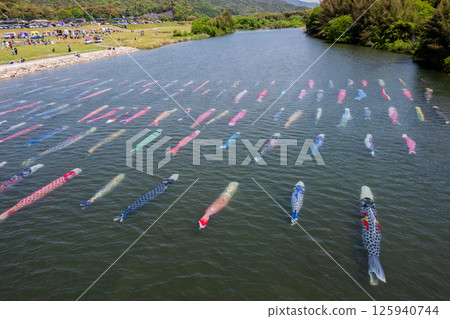 Carp streamer swimming in the water Carp streamer swimming in the water 125940744