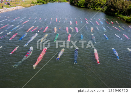 鯉魚飄帶游泳在水中 鯉魚飄帶游泳在水中 125940750
