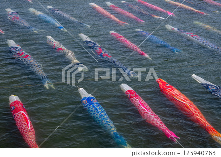 Carp streamer swimming in the water Carp streamer swimming in the water 125940763