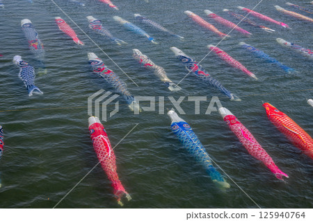 Carp streamer swimming in the water Carp streamer swimming in the water 125940764