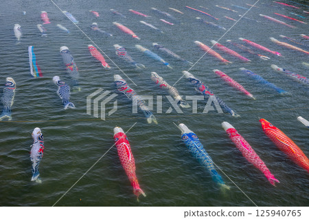 鯉魚飄帶游泳在水中 鯉魚飄帶游泳在水中 125940765