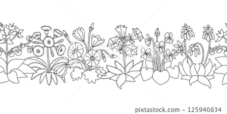 Stripe pattern with black and white linear tulips. Floral seamless border with hand drawn spring flowers 125940834