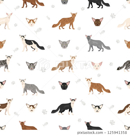 Oriental Longhair Cat clipart. All coat colors set.  All cat breeds characteristics infographic 125941358
