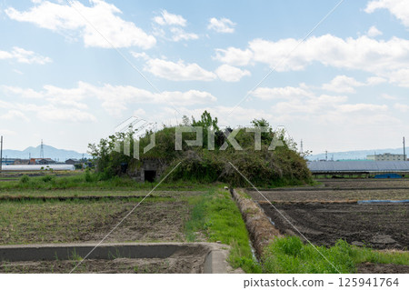 前日軍柳本機場南部防空洞遺址，矗立在水稻種植前的稻田中 125941764