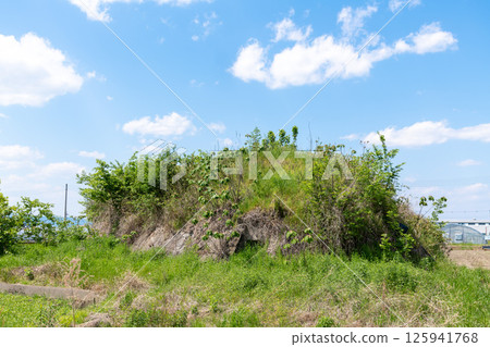 前日軍柳本機場南部防空洞遺址,矗立在水稻種植前的稻田中 前日軍柳本機場南部防空洞遺址,矗立在水稻種植前的稻田中 125941768