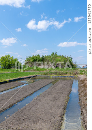The remains of the southern air raid shelter of the former Japanese military's Yanagimoto Airfield, standing in a rice paddy area before rice planting 125941770