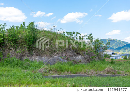 前日軍柳本機場南部防空洞遺址，矗立在水稻種植前的稻田中 125941777