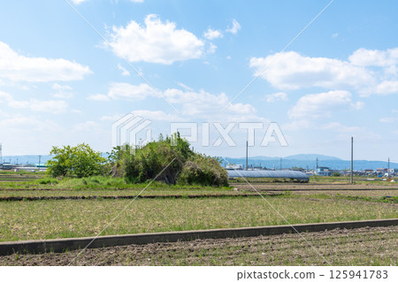 The remains of the southern air raid shelter of the former Japanese military's Yanagimoto Airfield, standing in a rice paddy area before rice planting The remains of the southern air raid shelter of the former Japanese military's Yanagimoto Airfield, standing in a rice paddy area before rice planting 125941783