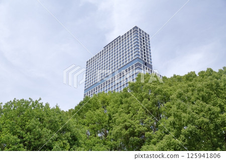 New Chunichi Building from the city park (Naka-ku, Nagoya City, Aichi Prefecture) New Chunichi Building from the city park (Naka-ku, Nagoya City, Aichi Prefecture) 125941806