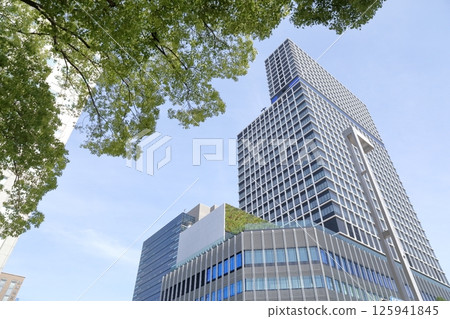 New Chunichi Building from the city park (Naka-ku, Nagoya City, Aichi Prefecture) New Chunichi Building from the city park (Naka-ku, Nagoya City, Aichi Prefecture) 125941845