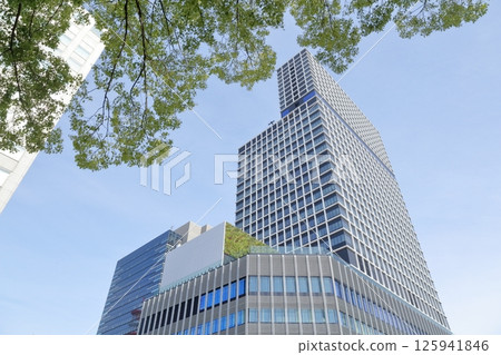 New Chunichi Building from the city park (Naka-ku, Nagoya City, Aichi Prefecture) New Chunichi Building from the city park (Naka-ku, Nagoya City, Aichi Prefecture) 125941846