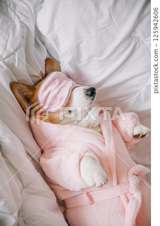 Corgi relaxing in pink robe and sleep mask on cozy bed during morning sun 125942606