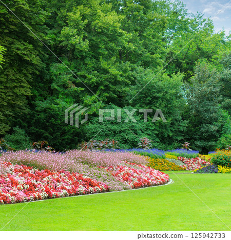 summer park with beautiful flowerbeds 125942733