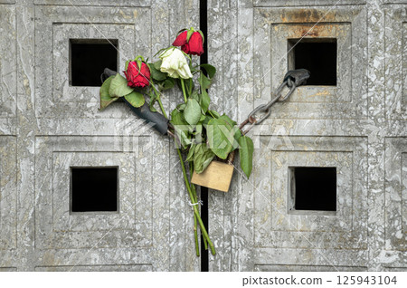 White and Red rose flowers attached to steel chain with Brass padlock holding massive hinges of the front entrance door are of stone. White and Red rose flowers attached to steel chain with Brass padlock holding massive hinges of the front entrance door are of stone. 125943104