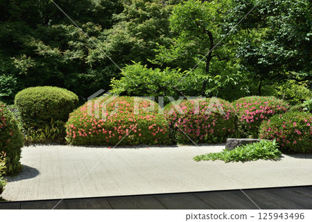 五月花季的紫泉定山寺庭園（京都市左京區） 125943496