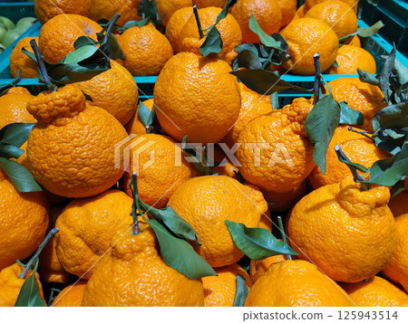 On the store's counter are Decopon tangerines (Reticulata dekopon), a hybrid fruit obtained by crossing the Ponkan mandarin with Kiyomi targor. On the store's counter are Decopon tangerines (Reticulata dekopon), a hybrid fruit obtained by crossing the Ponkan mandarin with Kiyomi targor. 125943514