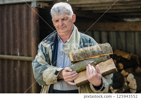 A pensioner, exhausted from work, carries firewood in his arms. An elderly man carrying firewood. 125943552