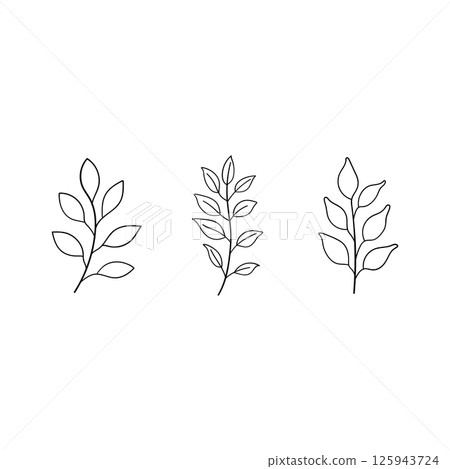 Minimal Leaf Line Drawing. Elegant black and white illustration of a single leaf stem drawn in a clean minimalist style. 125943724