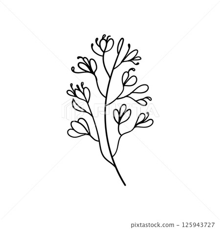 Delicate Flower Stem. Thin floral stem illustration with delicate buds and simple lines, ideal for greeting cards, stickers, or subtle feminine patterns. Delicate Flower Stem. Thin floral stem illustration with delicate buds and simple lines, ideal for greeting cards, stickers, or subtle feminine patterns. 125943727