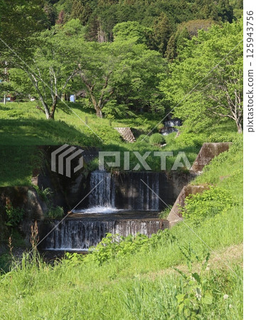 用新鮮的綠色包裹的公園的場面 125943756