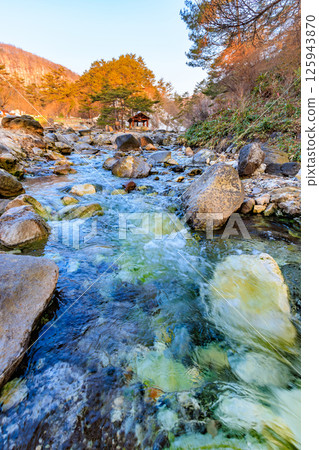 群馬縣吾妻郡草津溫泉西之河原公園清晨 125943870