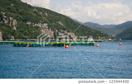 Aquaculture fish farm in natural mountainous setting. Sustainable fishing and seafood production concept Aquaculture fish farm in natural mountainous setting. Sustainable fishing and seafood production concept 125944300