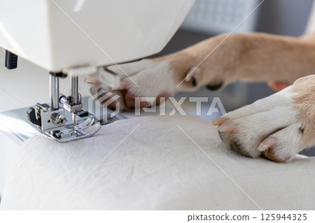 dog sews on a sewing machine with his paws on the machine. 125944325