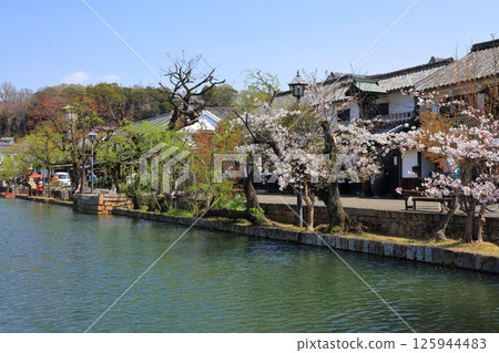 [Okayama Prefecture] Cherry blossoms bloom in the spring at Kurashiki Bikan Historical Quarter (Important Preservation District for Groups of Traditional Buildings) 125944483