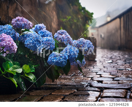 繡球花在雨中濕潤 125944826