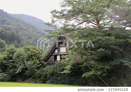 白川鄉荻町村合掌屋(岐阜) 白川鄉荻町村合掌屋(岐阜) 125945229