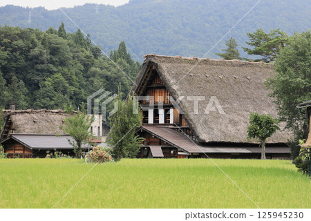 白川鄉荻町村合掌屋（岐阜） 125945230
