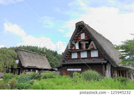 白川鄉荻町村合掌屋(岐阜) 白川鄉荻町村合掌屋(岐阜) 125945232