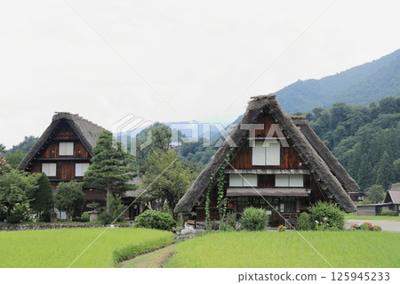 Shirakawa-go Ogimachi Village Gassho Style Houses (Gifu) Shirakawa-go Ogimachi Village Gassho Style Houses (Gifu) 125945233