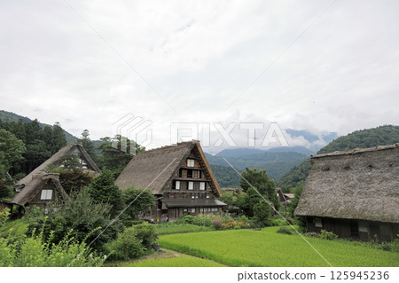 Shirakawa-go Ogimachi Village Gassho Style Houses (Gifu) 125945236