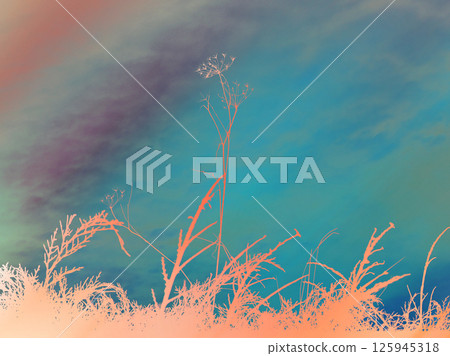 Background with dry wild plants, flowers and herbs on the background of soft blue sky. Abstract natural floral backdrop. Dried wild carrot flower grow Background with dry wild plants, flowers and herbs on the background of soft blue sky. Abstract natural floral backdrop. Dried wild carrot flower grow 125945318