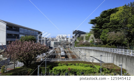 從東京理科大學（原東京工業大學）大岡山校區的「東京富士見坂」鳥瞰富士山 125945412