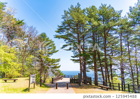 岩手縣北山崎第一瞭望台景觀、田野畑村 岩手縣北山崎第一瞭望台景觀、田野畑村 125945488