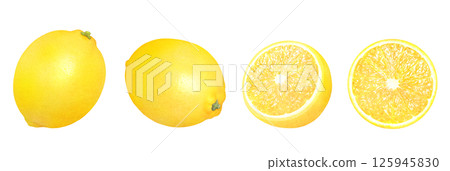 Fresh lemon hand-drawn illustration set_Watercolor_Whole and sliced lemon_Citrus fruits Fresh lemon hand-drawn illustration set_Watercolor_Whole and sliced lemon_Citrus fruits 125945830