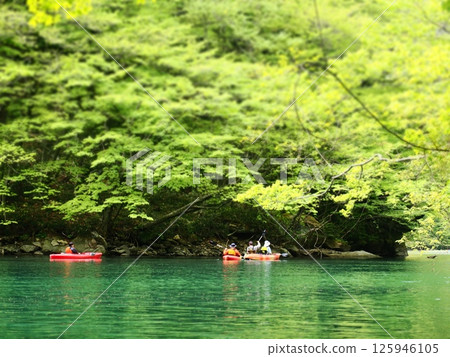 Enjoy kayaking on a lake with fresh greenery 125946105