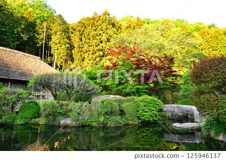 和紙之鄉 道之站 茅草屋頂日式建築與日式花園 東秩父村 125946137